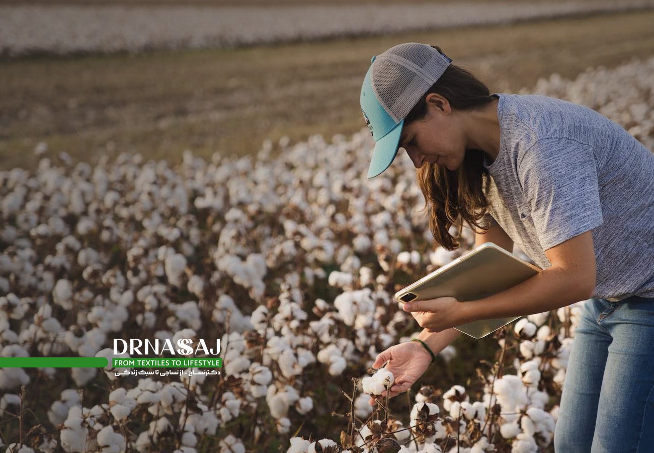نخ پنبه | پارچه پنبه | نساجی | خرید پنبه | قیمت پنبه | انواع پنبه