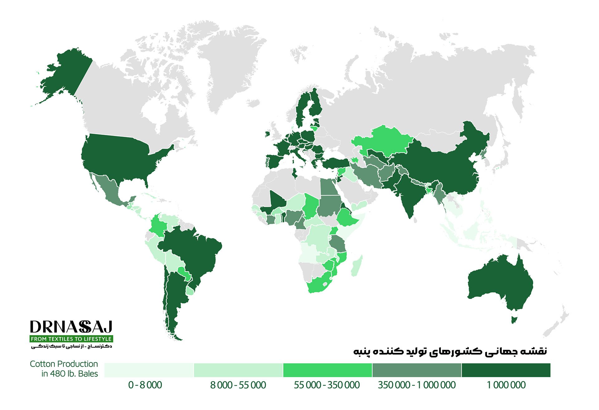 نخ پنبه | پارچه پنبه | نساجی | خرید پنبه | قیمت پنبه | انواع پنبه