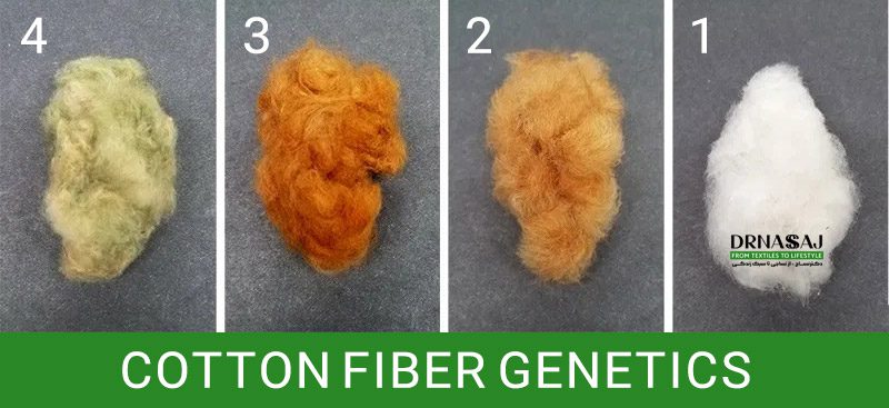 نخ پنبه | پارچه پنبه | نساجی | خرید پنبه | قیمت پنبه | انواع پنبه